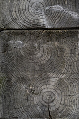 Fototapeta premium 木目調