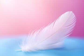 Obraz premium Delicate Feather on Pastel Pink and Blue Background