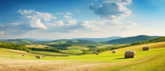 Summer Countryside Panorama: Serpentine Road, Green Meadows, and Forested Hills