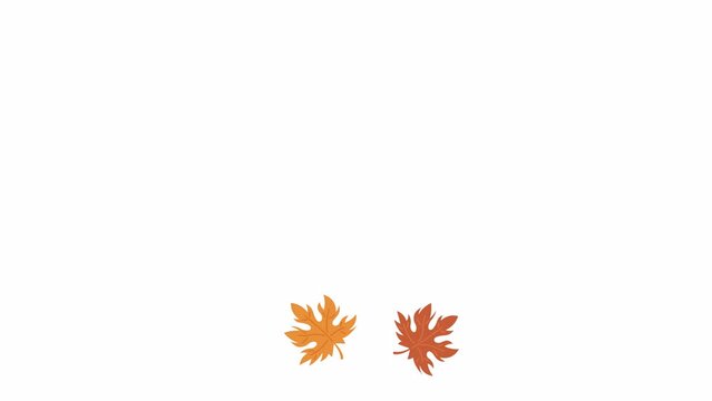 Falling leaves in autumn 2D object animation. Thanksgiving harvest flat cartoon 4K video, transparent alpha channel. Cozy autumnal season. October fall foliage animated element on white background