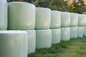 Cut grass gathered and rolled in plastic wrapping bales as animal fodder on agricultural farm