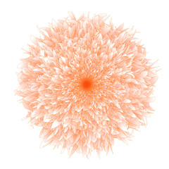 Abstract Flower