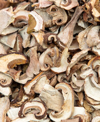 Dried porcini mushrooms as a background. Close-up