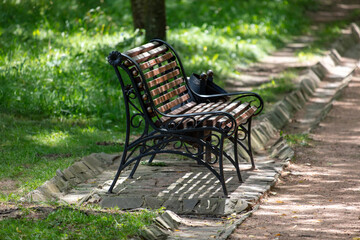 Bench in the park in summer