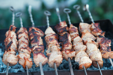 Lots of metal skewers with meat cooking on coals. Cooking pork barbecue.