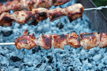 Cooking barbecue pork meat on smoking coals. Shish kebab on the grill.