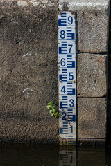 &eacute;chelle de crue dans une &eacute;cluse