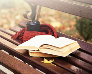 Book and scarf on wooden bench in autumn park.