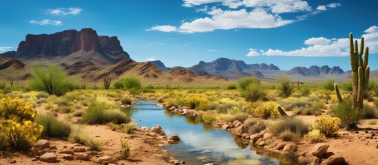 Panoramic view of the Saguaro National Park Arizona