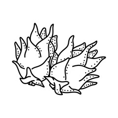 Dragon fruit doodle icon isolated on a white background. vector illustration