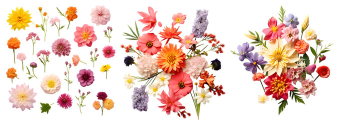 Beautiful flowers on transparent PNG background, isolated on white background, Generative Ai
