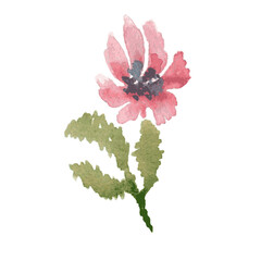 pink flower watercolor art drawn design