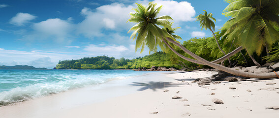 Beautiful tropical island with palm trees and beach panorama as background image - obrazy, fototapety, plakaty