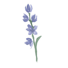 blue watercolor flower spring art drawn
