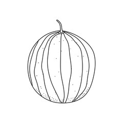 Watermelon coloring book. Vector illustration. Juicy watermelon doodle isolated on white background