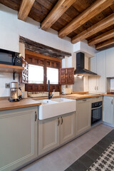 Bright kitchen in contemporary rustic apartment