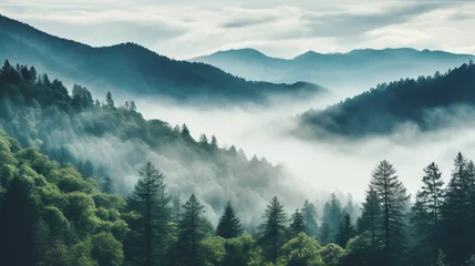 Afwasbaar Fotobehang Mistige ochtendstond Smoky cloudy mountains trees earth