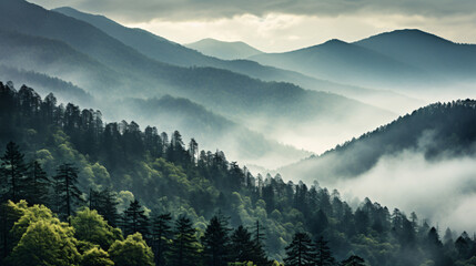 Smoky cloudy mountains trees earth