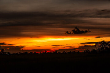 Golden clouds, golden sun in the evening Dusk trees and overcast sky When the sun sets, nature is very beautiful