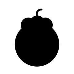 Food Fruit Mangosteen Icon