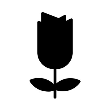 Flower Plent Usa Icon