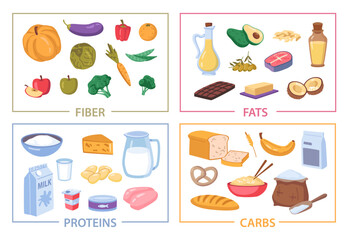 Fiber and fats, proteins and carbs dietary food, dairy, vegetables and fruits flat cartoon set. Carbohydrate meal, food fiber protein nutrients, meat and cheese nutrition products eating complex