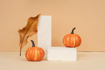 Pumpkin on a stone podium pedestal, showcase for product presentation. Autumn product promotion....