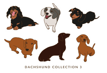 Dachshund Weiner Dog Illustration - In Color - Many Poses - Collection 3