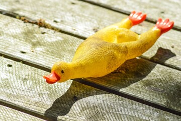 Ein gelbes Hundespielzeug in Form einer langgezogenen Quietscheente liegt draußen in der Sonne auf...