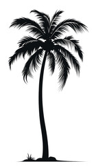 Tropical Palm Tree Silhouette Isolated on Transparent or White Background, PNG