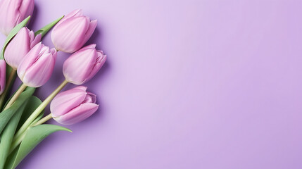 Tender violet tulips on pastel violet background