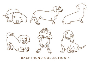Dachshund Weiner Dog Illustration - Outlines - Many Poses - Collection 4