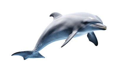 Joyful Aquatic Dolphin Leaping Isolated on Transparent or White Background, PNG
