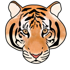 tiger face