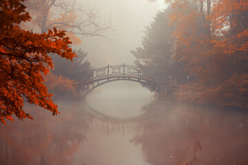 Pejzaż jesienny, mglisty poranek - obrazy, fototapety, plakaty