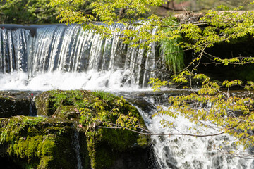 Obraz premium 新緑に包まれた峡谷の滝・宮島峡