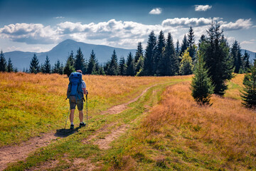 Trekking on the mountain road with Hoverla peak on background. Marvelous summer view of Carpathian Mountains, Ukraine, Europe. Active tourism concept background..