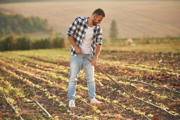 Holding the hoe. Man is on the agricultural field, conception of work and harvest
