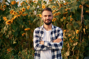 With sunflowers. Young gardener is in the greenhouse