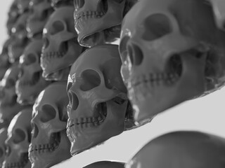 Row of Realistic Human Skull Cranium Isolated on White Background