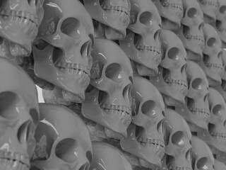 Fototapeta premium Row of Realistic&nbsp;Human Skull Cranium Isolated on White Background