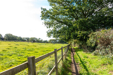 Walking down a countryside path past a field fenced off with a wooden fence