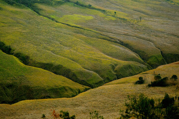 Beautiful view of slope hill at Bromo Tengger National Park in East Java, Indonesia.