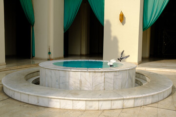 Doves in the Mosque 