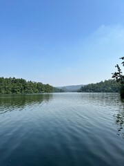 reflection of trees in water, lake in forest 