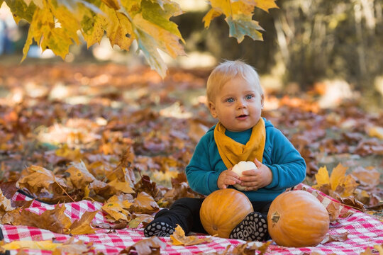 Portrait of a little boy 9 months old in the open air. A happy child in an autumn park with pumpkins. Happy childhood and fatherhood.