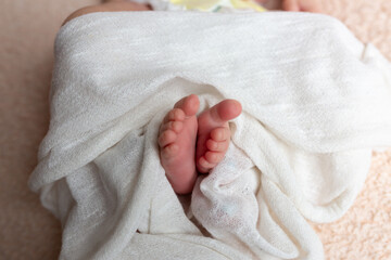 little feet a newborn baby in a white scarf. soft focus