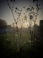 Misty September morning