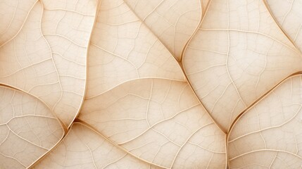 Close up texture leaf structure macro photography, abstract texture
