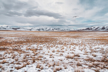 Snowy mountain prairie. Beautiful snow scene in wildness in blue cloud sky. Snowy pasture scenery in winter. Mongolia landscapes. - Powered by Adobe